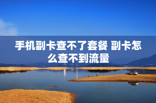 手机副卡查不了套餐 副卡怎么查不到流量