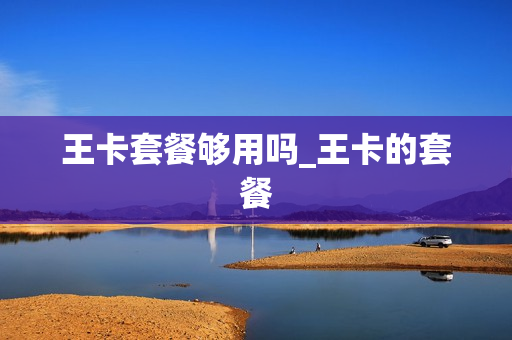 王卡套餐够用吗_王卡的套餐