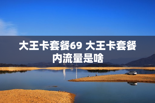 大王卡套餐69 大王卡套餐内流量是啥