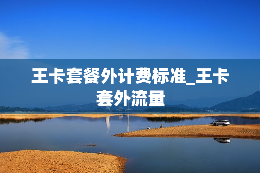 王卡套餐外计费标准_王卡套外流量