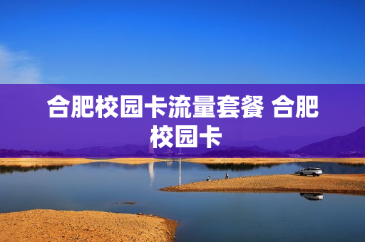 合肥校园卡流量套餐 合肥 校园卡
