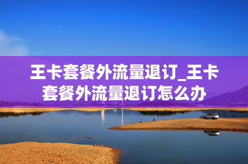 王卡套餐外流量退订_王卡套餐外流量退订怎么办