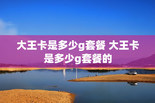 大王卡是多少g套餐 大王卡是多少g套餐的