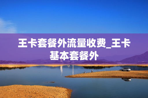 王卡套餐外流量收费_王卡基本套餐外