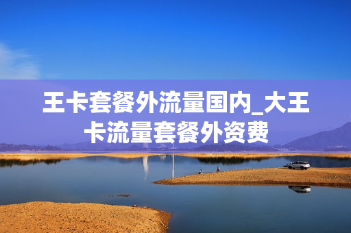 王卡套餐外流量国内_大王卡流量套餐外资费
