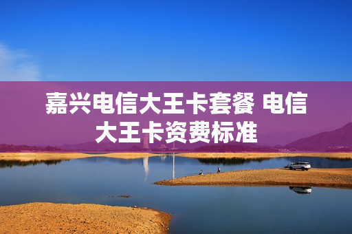 嘉兴电信大王卡套餐 电信大王卡资费标准