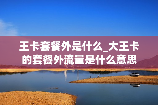 王卡套餐外是什么_大王卡的套餐外流量是什么意思