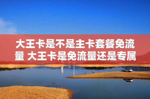 大王卡是不是主卡套餐免流量 大王卡是免流量还是专属流量