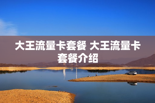 大王流量卡套餐 大王流量卡套餐介绍