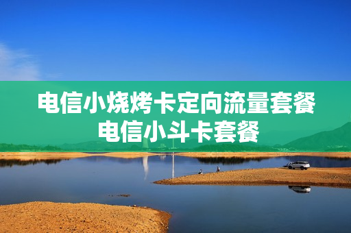 电信小烧烤卡定向流量套餐 电信小斗卡套餐