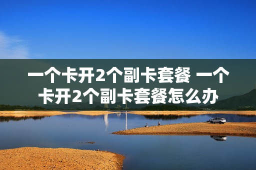 一个卡开2个副卡套餐 一个卡开2个副卡套餐怎么办