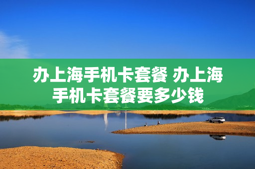 办上海手机卡套餐 办上海手机卡套餐要多少钱