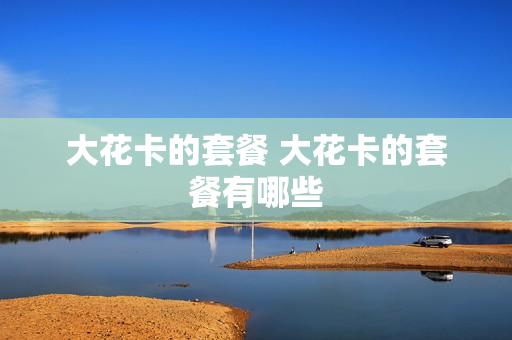 大花卡的套餐 大花卡的套餐有哪些