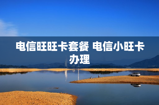 电信旺旺卡套餐 电信小旺卡办理