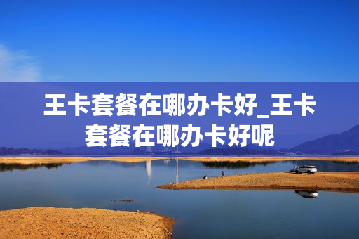 王卡套餐在哪办卡好_王卡套餐在哪办卡好呢