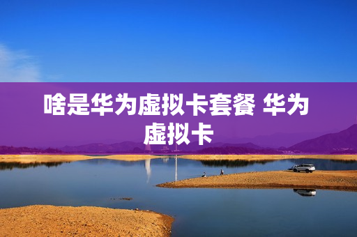 啥是华为虚拟卡套餐 华为 虚拟卡