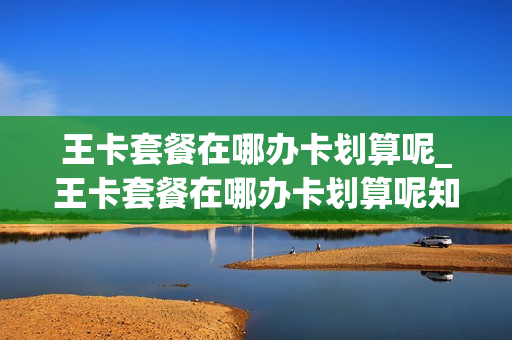 王卡套餐在哪办卡划算呢_王卡套餐在哪办卡划算呢知乎
