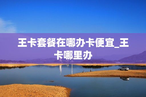王卡套餐在哪办卡便宜_王卡哪里办