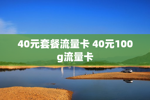 40元套餐流量卡 40元100g流量卡