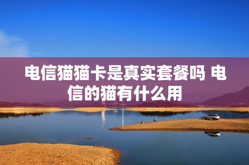 电信猫猫卡是真实套餐吗 电信的猫有什么用