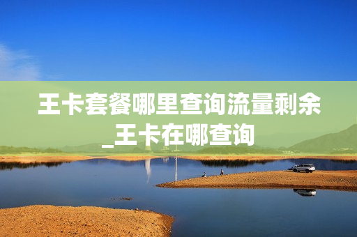 王卡套餐哪里查询流量剩余_王卡在哪查询