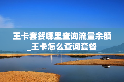 王卡套餐哪里查询流量余额_王卡怎么查询套餐