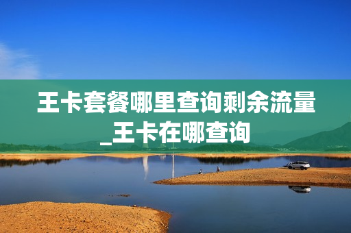 王卡套餐哪里查询剩余流量_王卡在哪查询