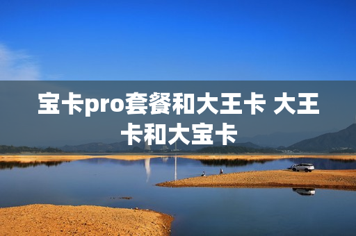 宝卡pro套餐和大王卡 大王卡和大宝卡