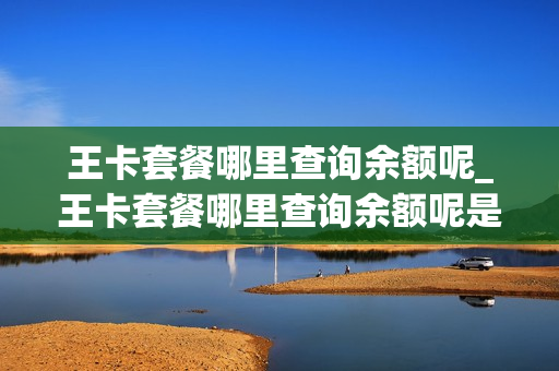 王卡套餐哪里查询余额呢_王卡套餐哪里查询余额呢是真的吗