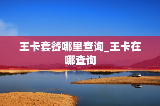 王卡套餐哪里查询_王卡在哪查询