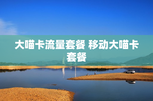 大喵卡流量套餐 移动大喵卡套餐