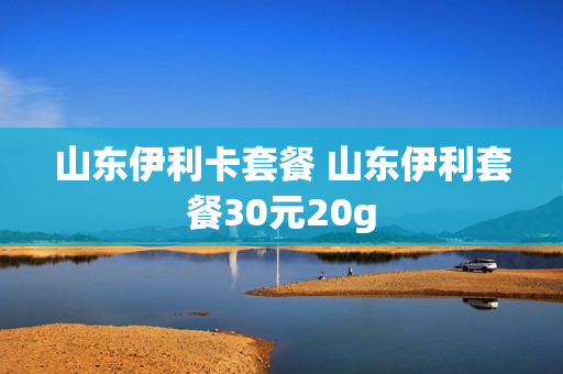 山东伊利卡套餐 山东伊利套餐30元20g