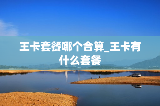 王卡套餐哪个合算_王卡有什么套餐