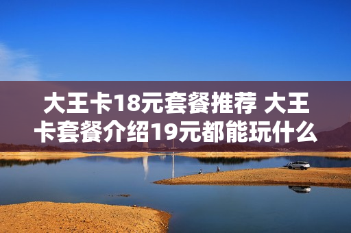 大王卡18元套餐推荐 大王卡套餐介绍19元都能玩什么