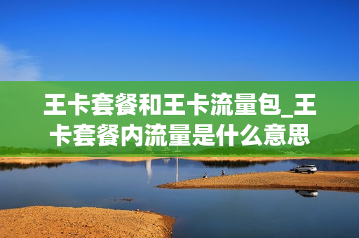 王卡套餐和王卡流量包_王卡套餐内流量是什么意思