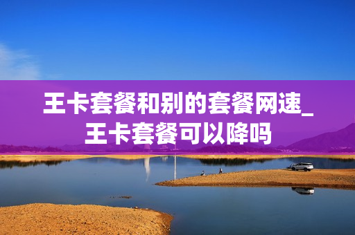 王卡套餐和别的套餐网速_王卡套餐可以降吗