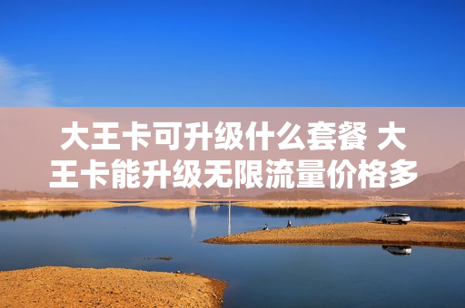 大王卡可升级什么套餐 大王卡能升级无限流量价格多少