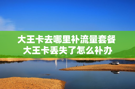 大王卡去哪里补流量套餐 大王卡丢失了怎么补办