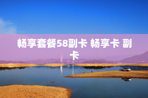 畅享套餐58副卡 畅享卡 副卡