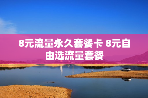 8元流量永久套餐卡 8元自由选流量套餐