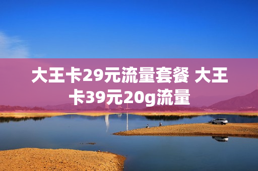 大王卡29元流量套餐 大王卡39元20g流量