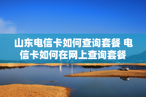山东电信卡如何查询套餐 电信卡如何在网上查询套餐