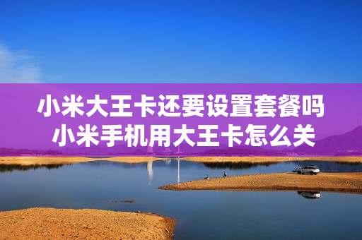 小米大王卡还要设置套餐吗 小米手机用大王卡怎么关闭自走流量