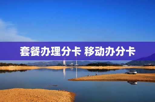 套餐办理分卡 移动办分卡