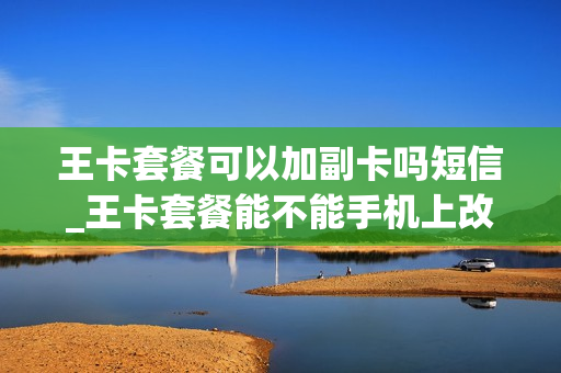 王卡套餐可以加副卡吗短信_王卡套餐能不能手机上改套餐
