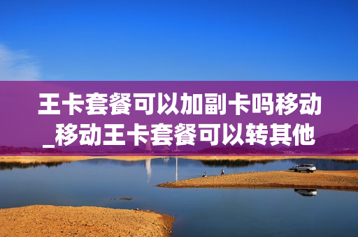 王卡套餐可以加副卡吗移动_移动王卡套餐可以转其他套餐吗