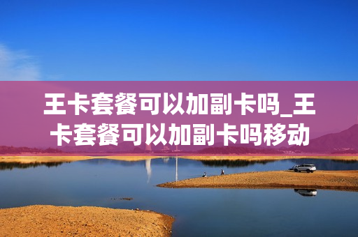 王卡套餐可以加副卡吗_王卡套餐可以加副卡吗移动