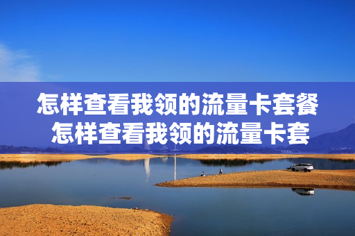怎样查看我领的流量卡套餐 怎样查看我领的流量卡套餐明细