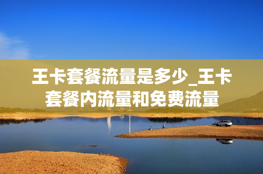 王卡套餐流量是多少_王卡套餐内流量和免费流量