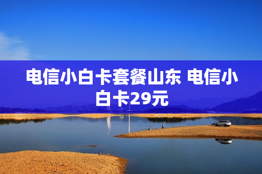 电信小白卡套餐山东 电信小白卡29元